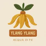 Nota - Ylang Ylang