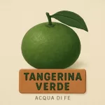 Nota - Tangerina Verde