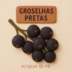 Nota - Groselhas Pretas