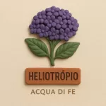 Nota - Heliotrópio