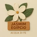 Nota - Jasmim Egípcio