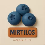 Nota - Mirtilos