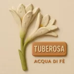 Nota - Tuberosa