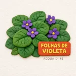 Nota - Folhas de Violeta
