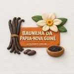 Nota - Baunilha da Papua-Nova Guiné