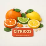 Nota - Cítricos