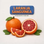 Nota - Laranja Sanguínea