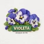 Nota - Violeta