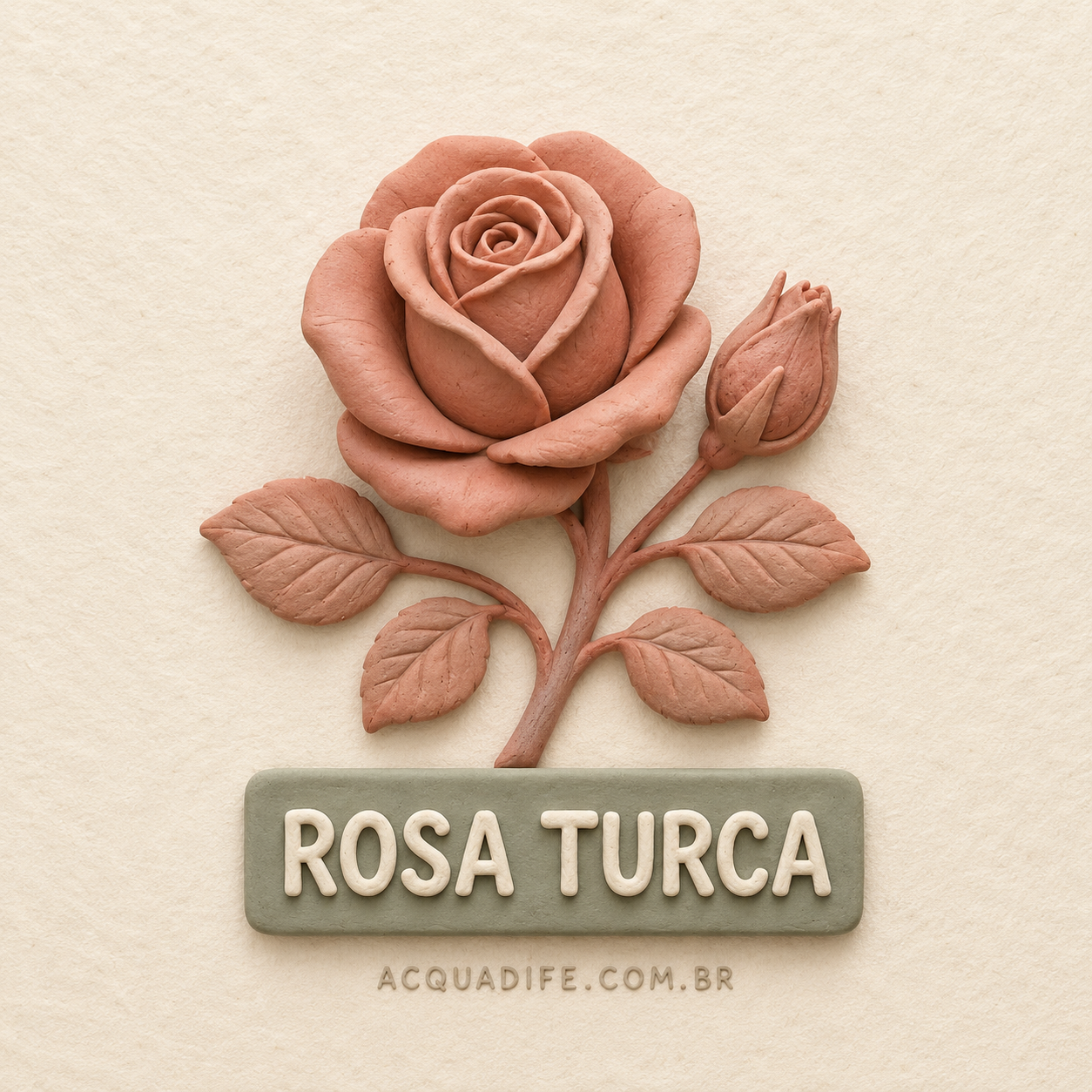 Nota - Rosa Turca