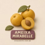 Nota - Ameixa Mirabelle
