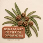 Nota - Notas de Óleo de Cipriol (Nagarmota)