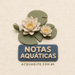 Nota - Notas Aquáticas